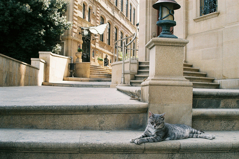 Baku Old City Wonders: A Walking Tour Through Time