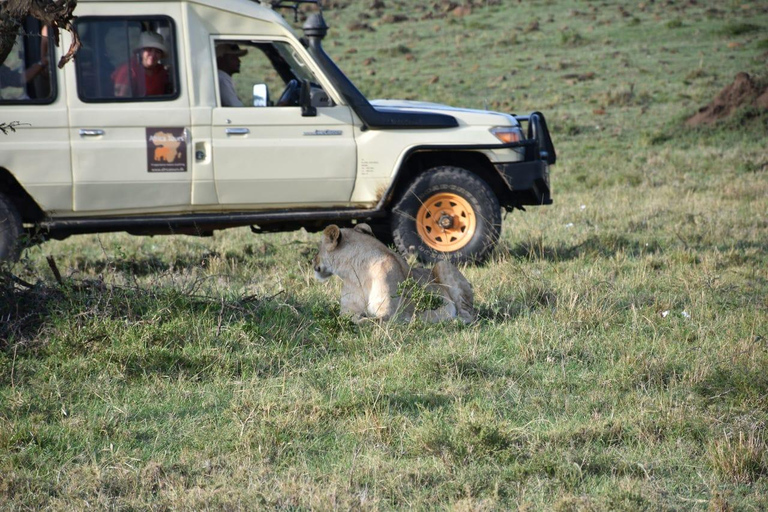 Tsavo Amboseli & Tsavo Expedition Safari Tour