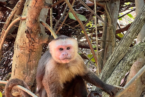Parco Tayrona 2 giorni e 1 notte. Un percorso ancestrale.