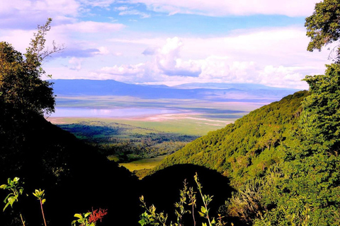 恩戈罗恩戈罗火山口一日旅行（含游猎）