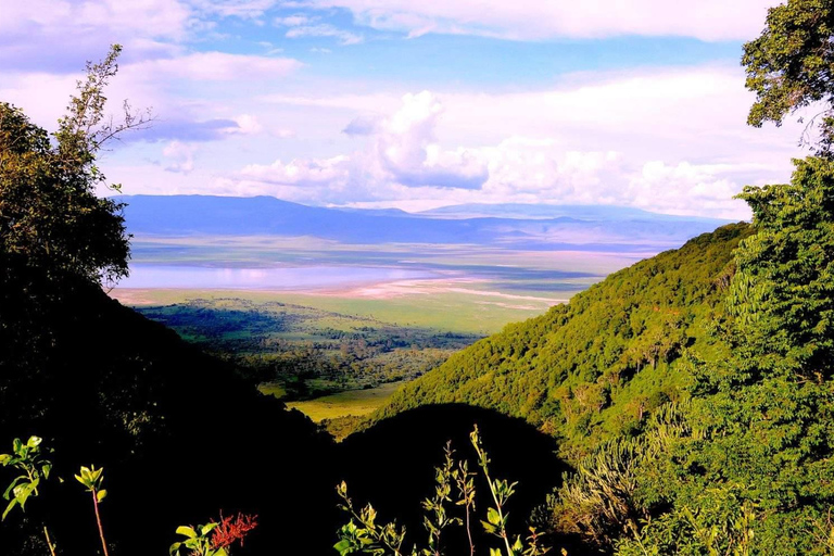恩戈罗恩戈罗火山口一日旅行（含游猎）