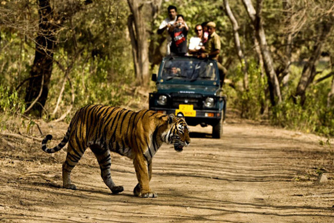 Au départ de Delhi : Circuit de 16 jours au Rajasthan avec Tiger Safari