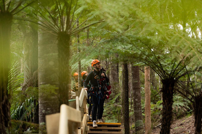 Auckland: Waiheke Island Man O' War Forest Flight Zipline Auckland: Waiheke Island Man O' War Zipline Adventure