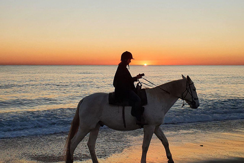 Noord, Aruba: Beach Horseback Ride at Sunrise or Sunset Noord, Aruba: Sunset Beach Horseback Ride