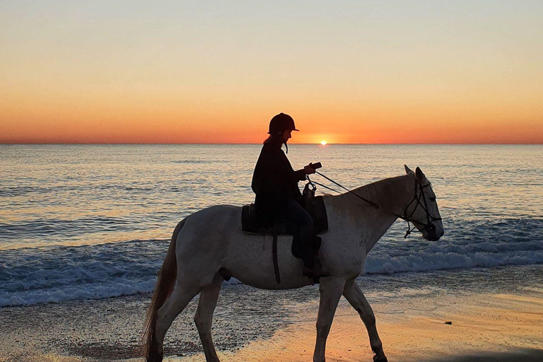 Noord, Aruba: Beach Horseback Ride at Sunrise or Sunset Noord, Aruba: Sunset Beach Horseback Ride