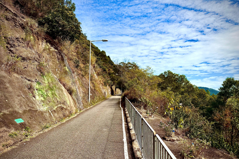 Hong Kong: Lion Rock Ridge Views Guided Hike (4 Hours)