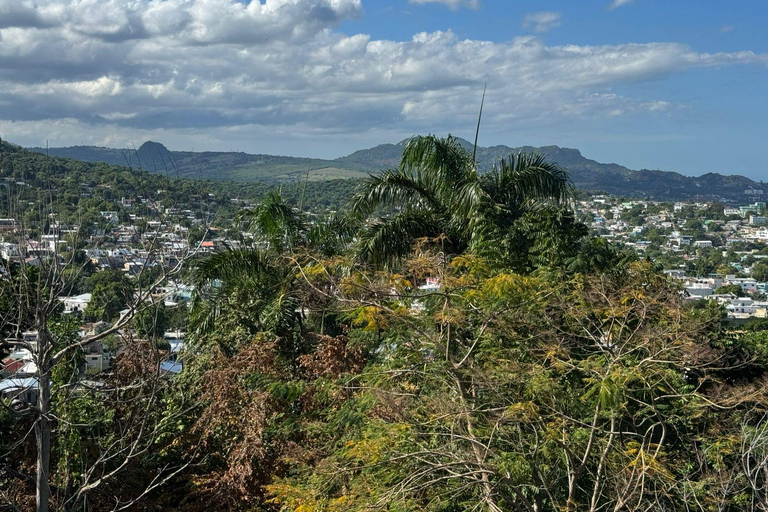 Puerto Plata: El Gallo Ecolodge Day Pass with Lunch