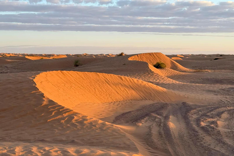 2-Day Sahara Escape: Ksar Ghilane Oasis & Desert Camp 2-Day Sahara Escape: from Mahdia