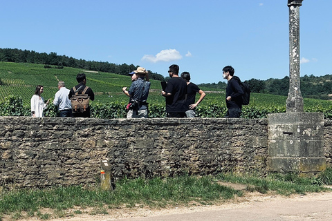 Côte de Nuits: 2h30 excursion among the vines