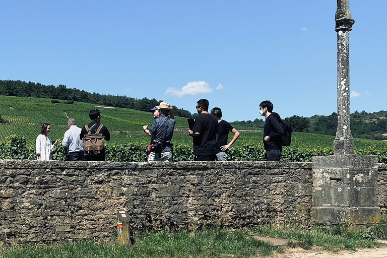 Côte de Nuits: 2h30 excursion among the vines