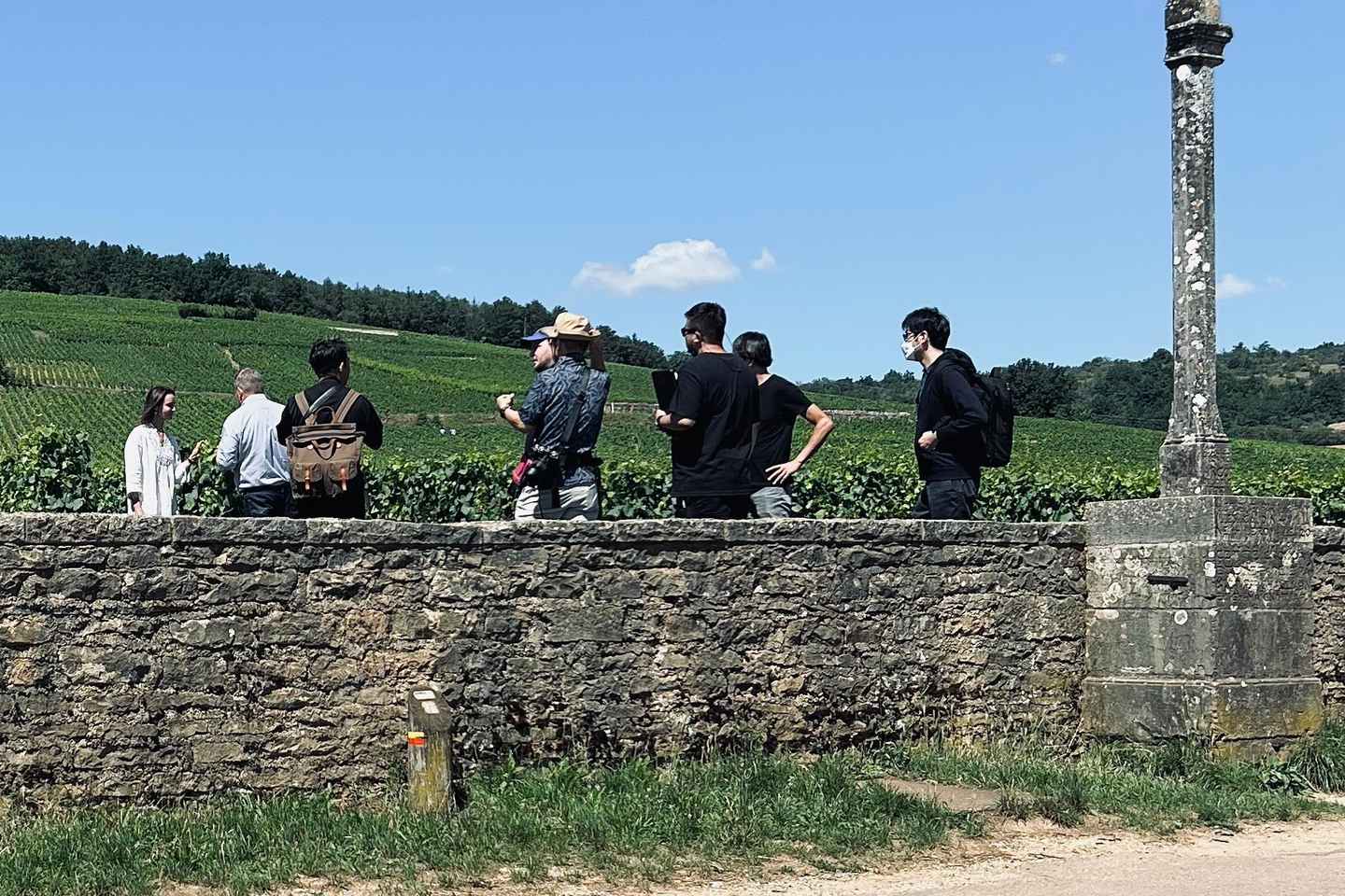 Côte de Nuits: Excursion in the heart of the vineyards