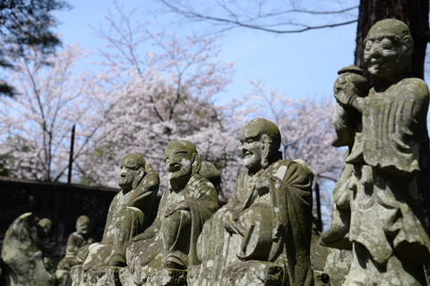 Excursão de um dia ao Santuário Hyland de Karuiizawa Koedo KawagoeSaída Norte de Marunouchi