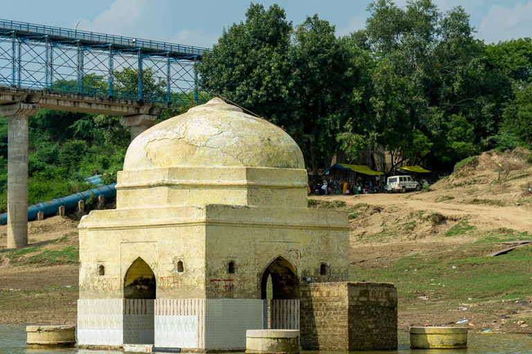 From Agra: Day Trip to Chambal River Safari with Lunch