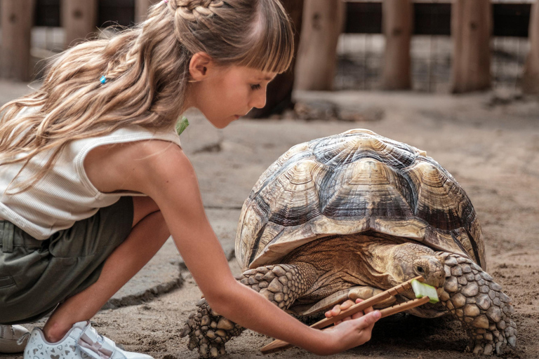 Bali Zoo: Capybara Brunch & Observation Experience Capybara Brunch Experience with Transfer