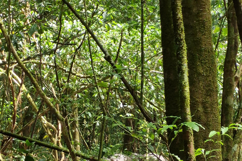 Corcovado-Sirena station day tour from Puerto Jimenez by boat. Corcovado National Park Sirena Station day tour from Puerto Jimenez