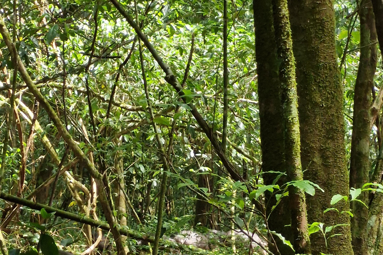 Corcovado-Sirena station day tour from Puerto Jimenez by boat. Corcovado National Park Sirena Station day tour from Puerto Jimenez