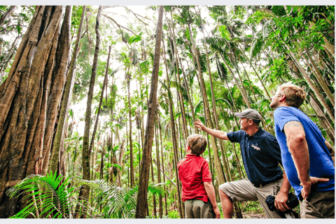 Excursión al Sabor de la Montaña Tamborine