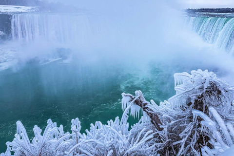 Niagara Falls: Tower, Boat Ride, & Journey Behind the Falls Skylon Tower