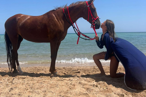 Hurghada: Horse Riding in the Desert & Beach Experience 1 HR Desert Horse Riding Experience without transfer