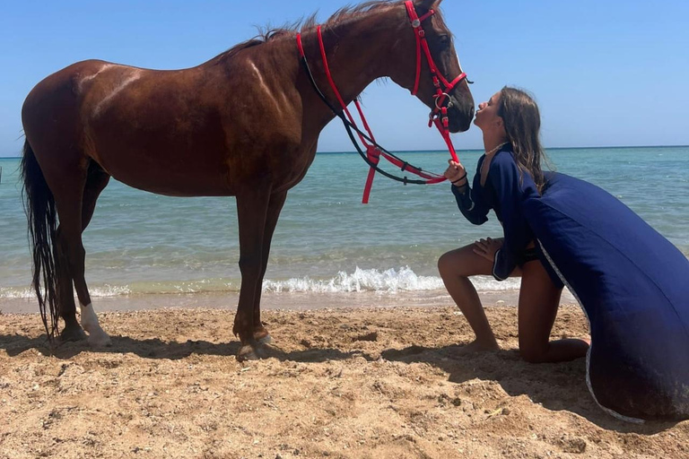 Hurghada: Horse Riding in the Desert & Beach Experience 1 HR Desert Horse Riding Experience without transfer