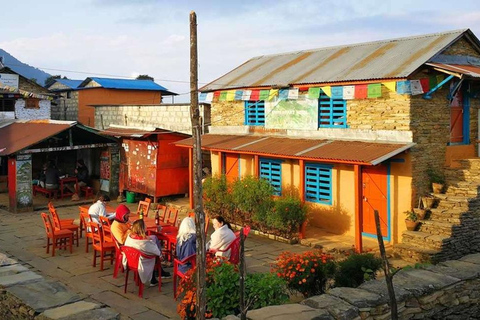Pokhara: 1 day Kudbidada, Sidhane and Panchase Guided Trek