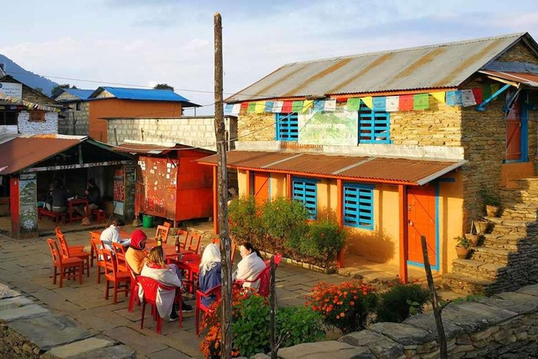 Pokhara: 1 day Kudbidada, Sidhane and Panchase Guided Trek
