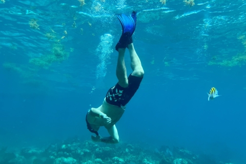 Punta Cana: snorkel en la isla CatalinaDesde el área de Dominicus