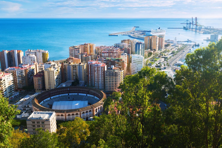 Malaga: Capture the most Photogenic Spots with a Local 90 min - Walking Tour