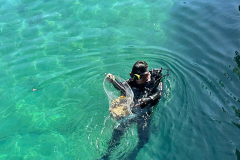Cham Islands: Scuba Diving Experience with 2 Divemaster Opts PADI Scuba + Snorkeling (1 Dive + 1 Snorkel)