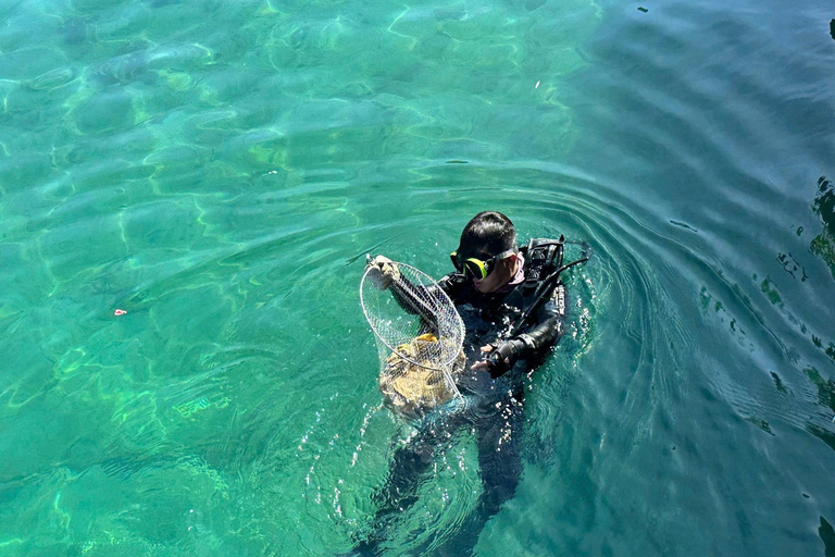 Cham Islands: Scuba Diving Experience with 2 Divemaster Opts PADI Scuba + Snorkeling (1 Dive + 1 Snorkel)