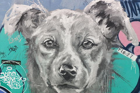 Tour to Viña del Mar, Reñaca, and Concon (Shared) Tour to Viña del Mar, Reñaca, and Concon