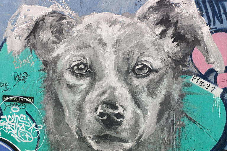 Tour to Viña del Mar, Reñaca, and Concon (Shared) Tour to Viña del Mar, Reñaca, and Concon