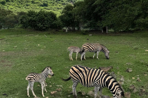South Discovery :Wild Life Safari at Casela Park with Lunch