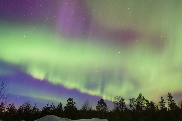 Rovaniemi: Private Aurora Hunting Tour with MealRovaniemi: Private Aurora Hunting Tour with Dinner