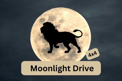 Cataratas Victoria: Moonlight Drive 4x4Cataratas Victoria: Viaje nocturno en 4x4