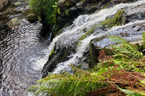 Isle of Man: Laxey and Snaefell Tour With A Registered Guide