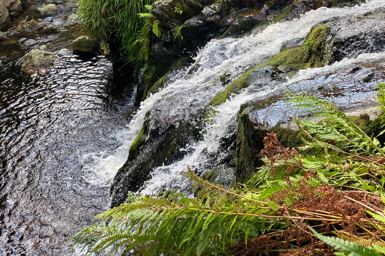 Isle of Man: Laxey and Snaefell Tour With A Registered Guide