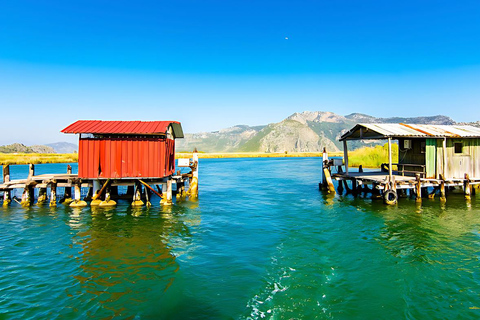 Bodrum: Dalyan River Cruise, Turtle Beach, and Mud Baths
