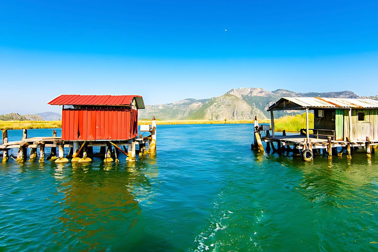 Bodrum: Dalyan River Cruise, Turtle Beach, and Mud Baths