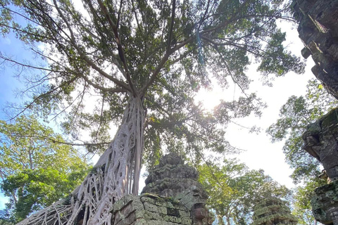 Siem Reap: Personalized Angkor Wat Private Guided Tour 3 Hours–Angkor Wat Focus with Sunrise