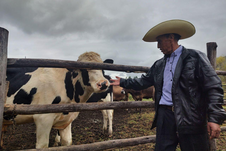 Cajamarca: Otuzco, Campiña & Dairy Farm Tour Cajamarca: Otuzco & Dairy Farm, English Guide