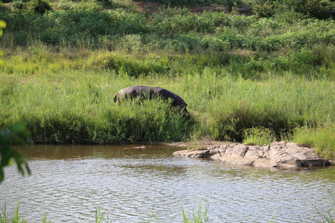 Place of Wonder: Isimangaliso Wetland Park - Safari DrivesSunrise or Sunset Isimangaliso Wetland Park Safari Drives