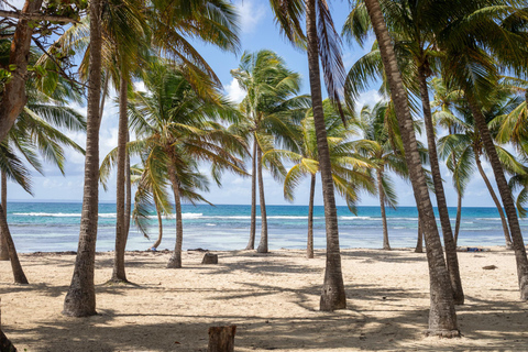 Guadeloupe: Discover Sainte-Anne and its must-sees by e-bike Guadeloupe: Discover Sainte-Anne and its must-sees by electric bike