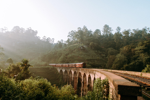 Ella Day Tour: with Tea Factory Visit From Colombo/ Negombo