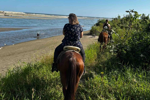 From Huatulco: Beach Horseback Riding Experience Regular Beach Horseback Riding Tour (2 hours)