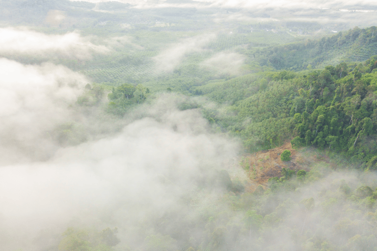 Von Khao Lak aus: Khao Khai Nui Sonnenaufgang 4WD Tour mit Frühstück