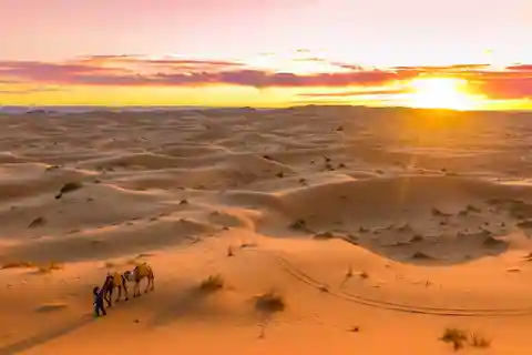 Marrakech: Excursión de 2 días por el Sáhara a Zagora y Ait Ben Haddou