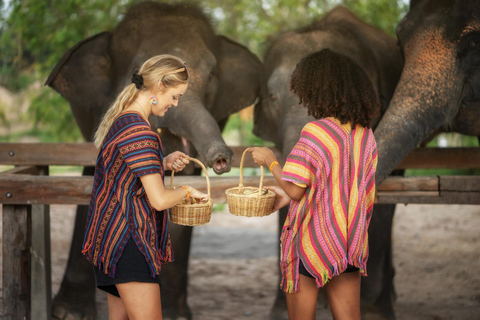 Chiang Mai: Ethical Elephant Feeding & Shower Program