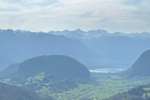 Une excursion d&#039;une journée au départ de Ljubljana : La nature magique et le lac BohinjVisite privée en espagnol