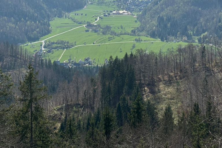 Une excursion d&#039;une journée au départ de Ljubljana : La nature magique et le lac BohinjVisite privée en espagnol